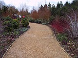 Part of the path on  the Winter Walk 