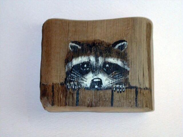 Racoon