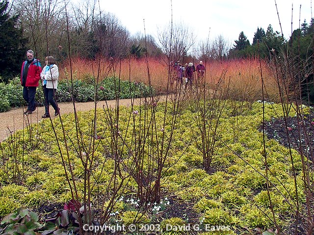 Glorious Colours along the Winter Walk 