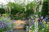 Chelsea Flower Show\nGrand Pavilion - Sunflower Street