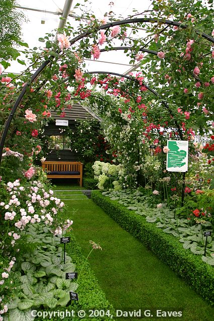 Chelsea Flower Show\nGrand Pavilion - Notcutts