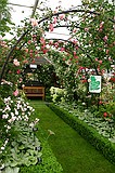 Chelsea Flower Show\nGrand Pavilion - Notcutts