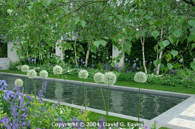 Chelsea Flower Show\nThe Knightsbridge Urban Renaissance Garden