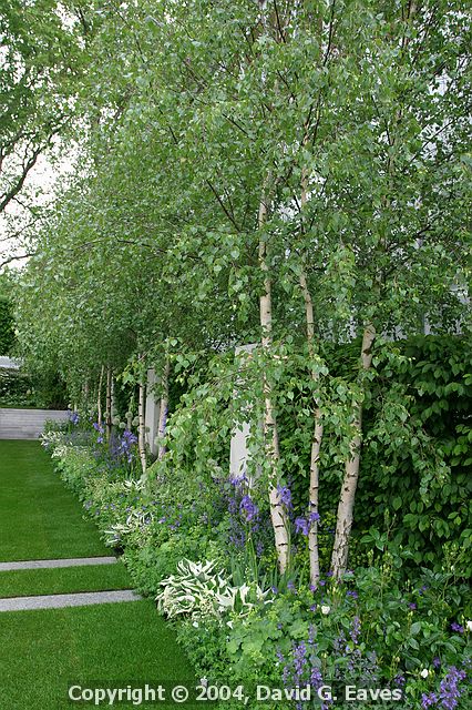 Chelsea Flower Show\nThe Knightsbridge Urban Renaissance Garden