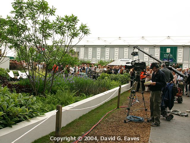 Chelsea Flower Show\nMore BBC in action/p>
