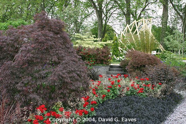 Chelsea Flower Show\nThe Salvation Army & Buildbase Garden - 'From Darkness to Light'