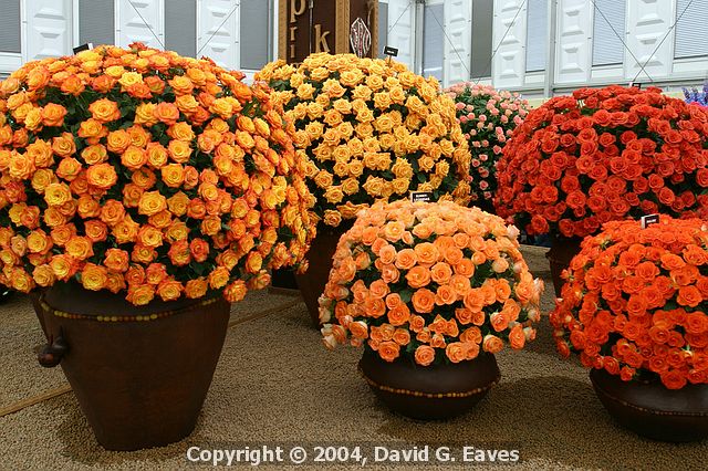 Chelsea Flower Show\nGrand Pavilion