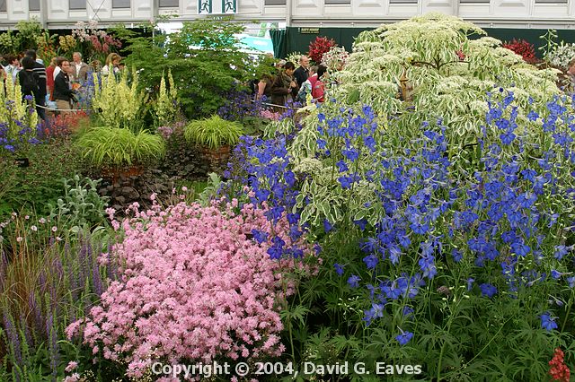 Chelsea Flower Show\nGrand Pavilion