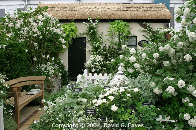 Chelsea Flower Show\nGrand Pavilion - Squire's White Garden