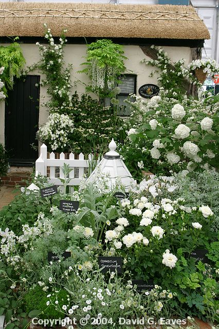 Chelsea Flower Show\nGrand Pavilion - Squire's White Garden