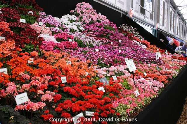 Chelsea Flower Show\nGrand Pavilion